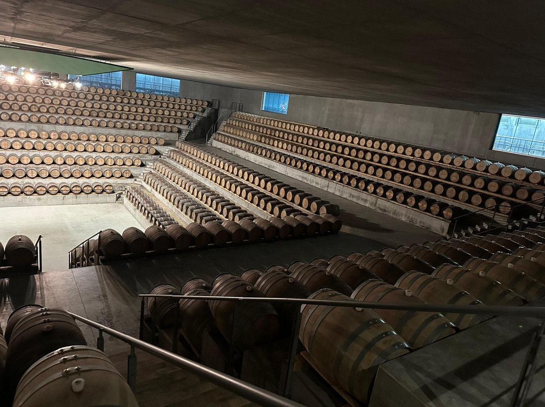 Cantina Rocca di Frassinello-格罗塞托必去景点
