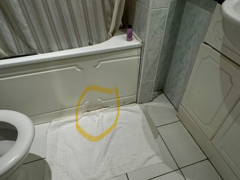 亚历山大酒店主图