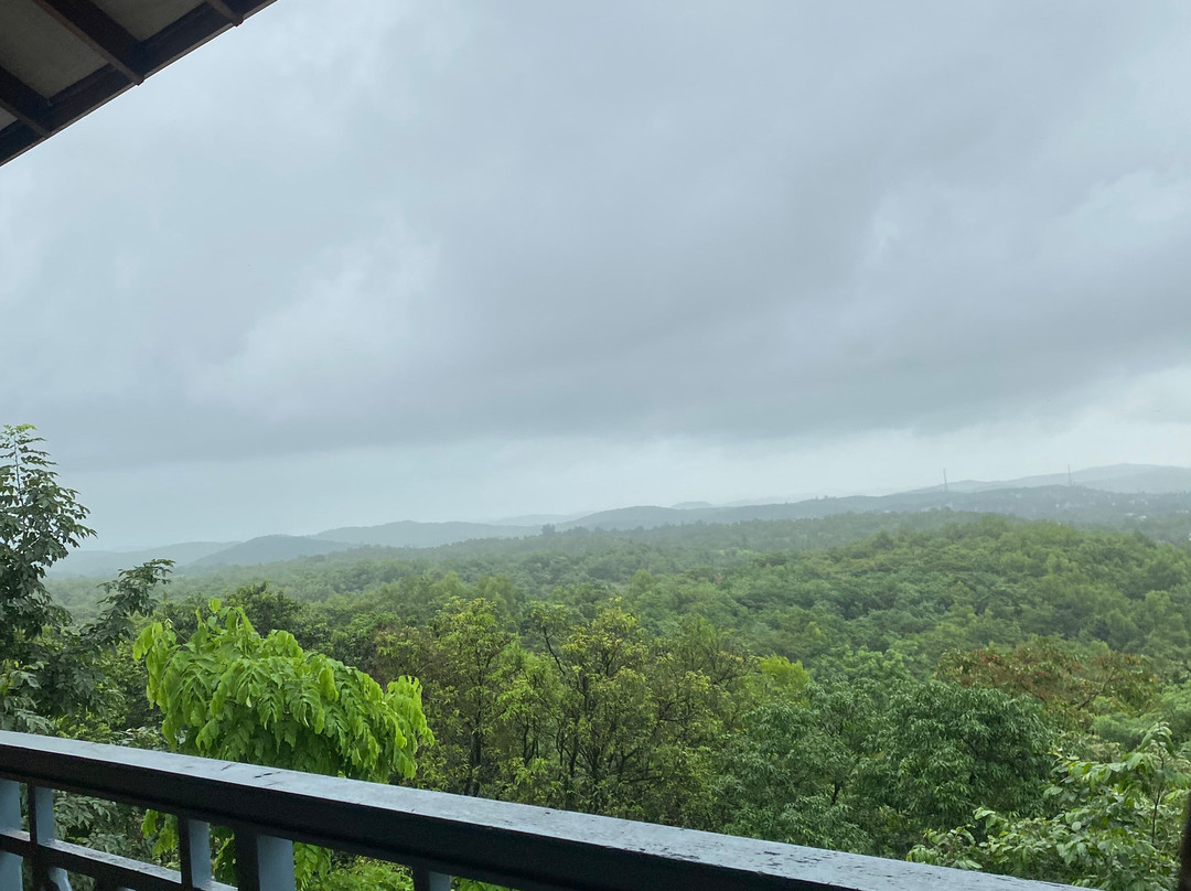 萨马利蕨类度假村主图