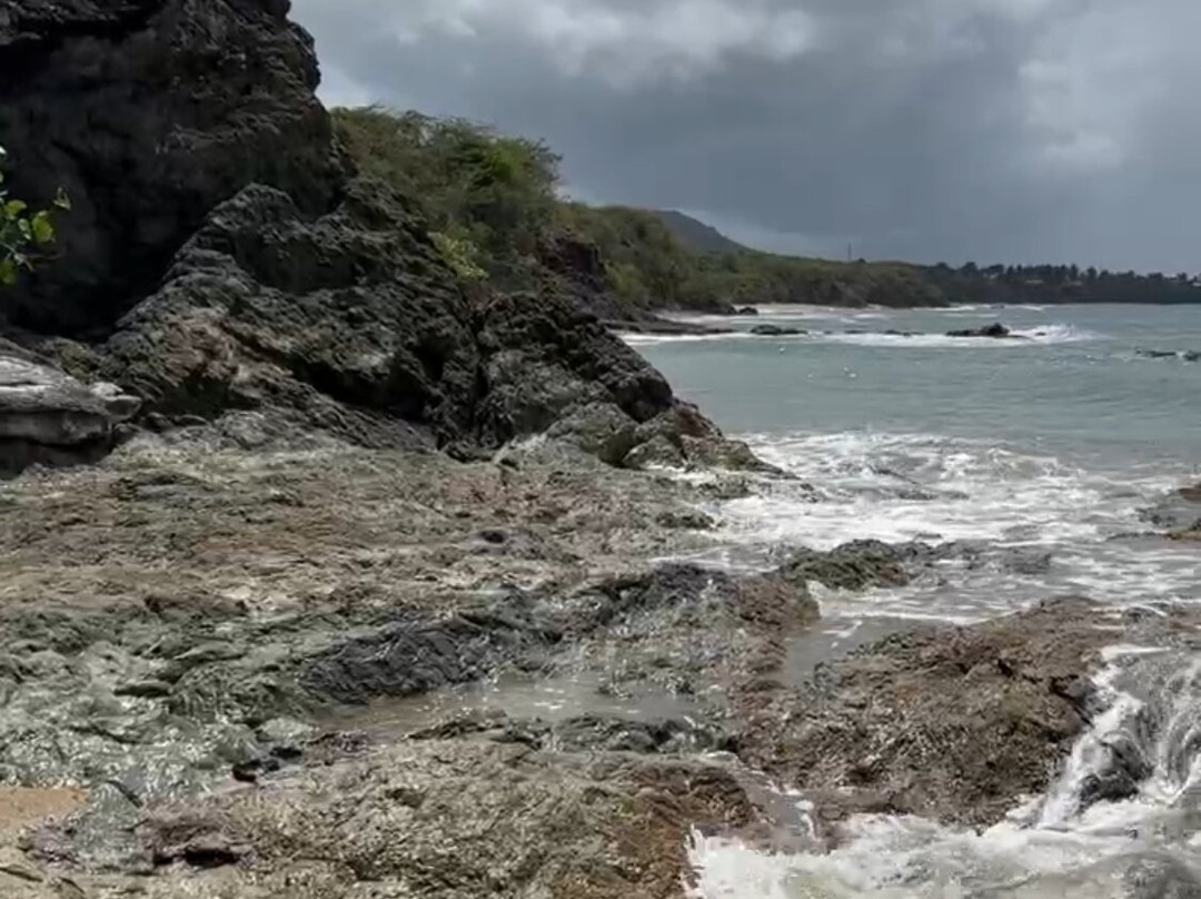 Vieques Island-维切克岛必去景点