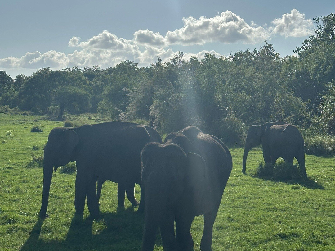 Comfort Travel & Tours-科伦坡必去景点