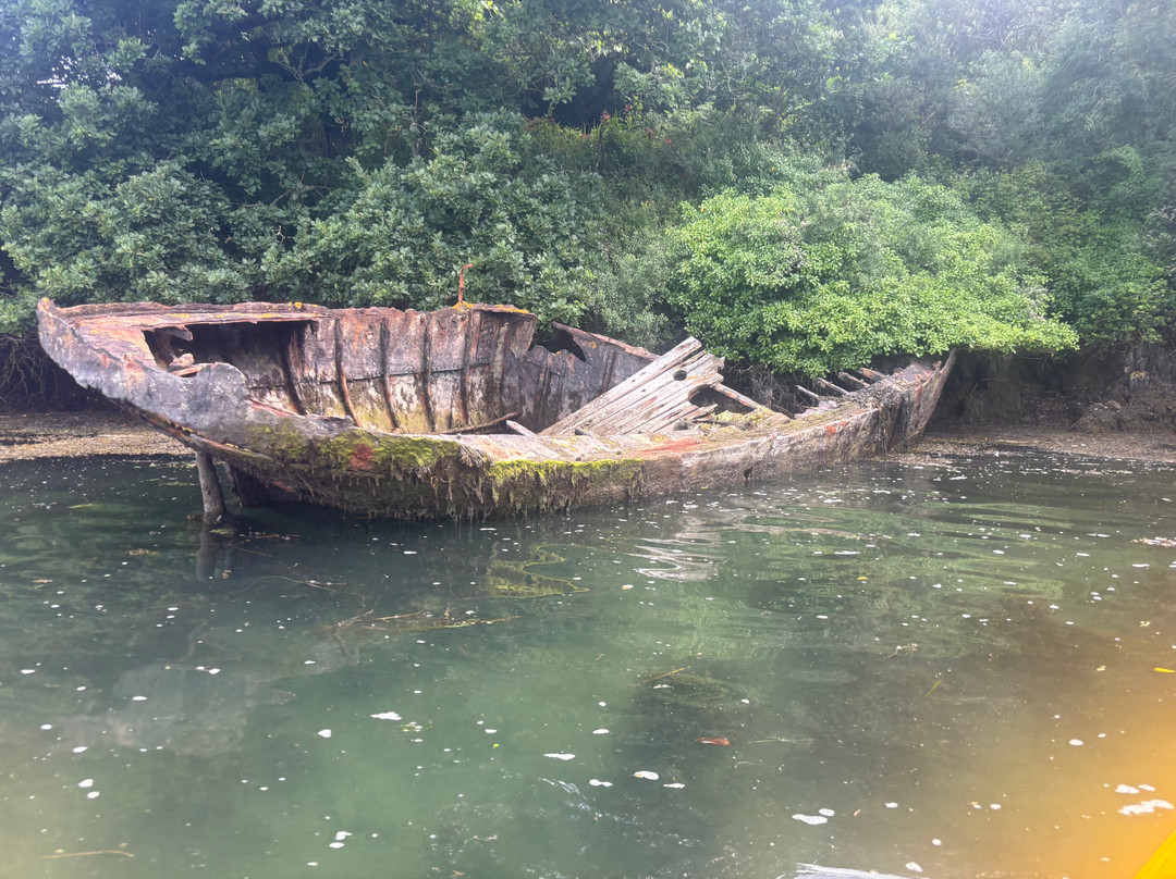 Koru Kayaking-St Agnes必去景点