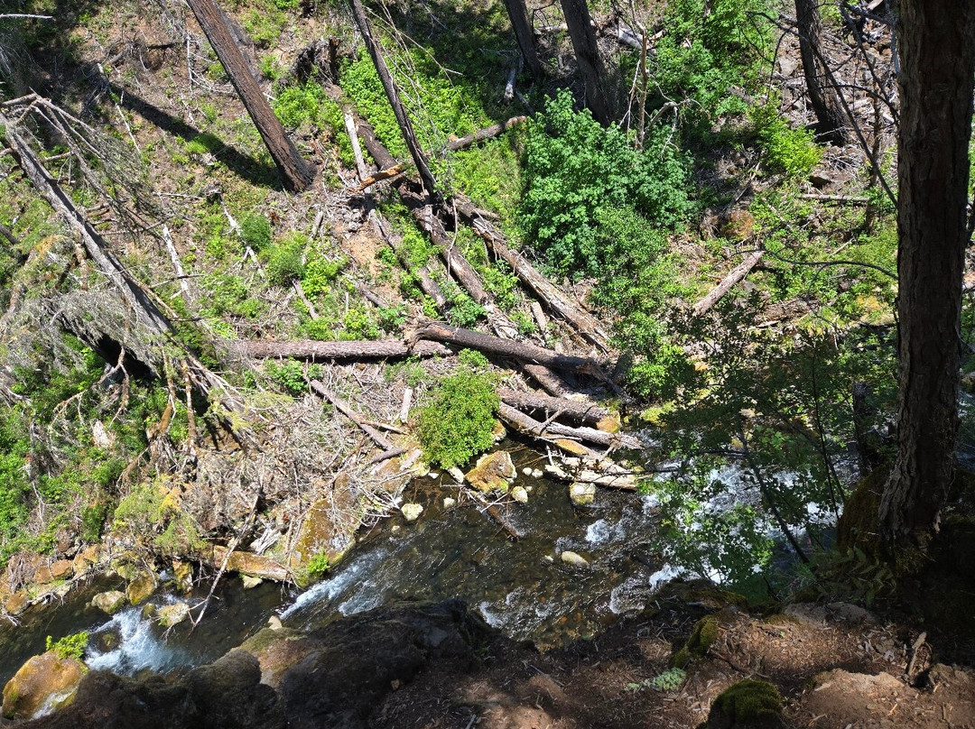 Tamolitch Pool Trail-Cascadia必去景点
