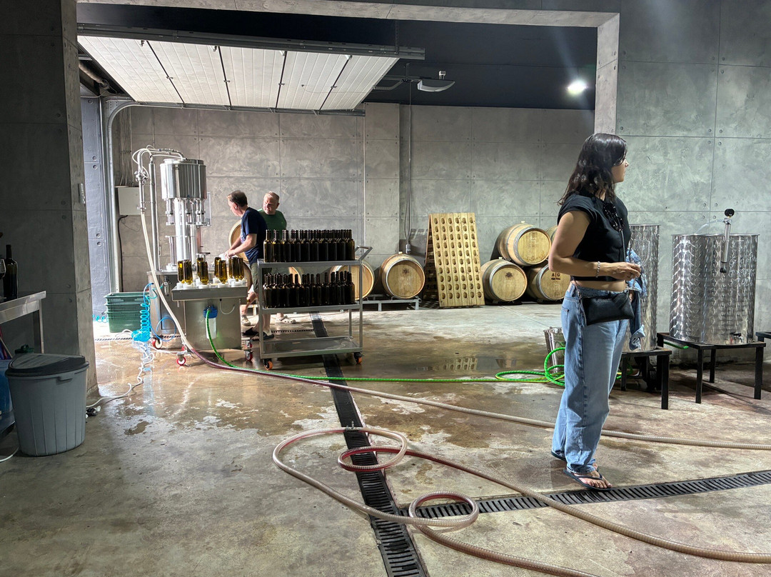 Algio Wine Winery-巴统必去景点