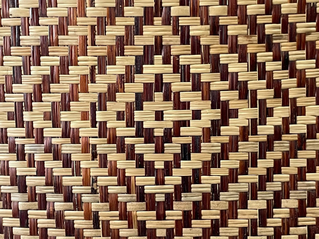 Cultural Centre of the Peoples of the Amazon-玛瑙斯必去景点