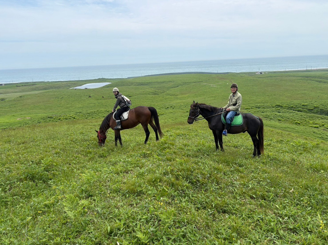 North Pacific Sea Side Line Horse Club-滨中町必去景点