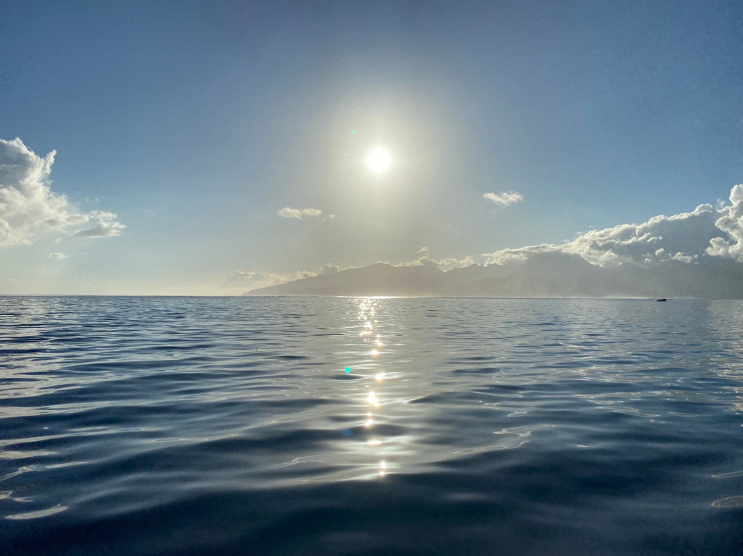 Tahiti Iti Tour and Surf