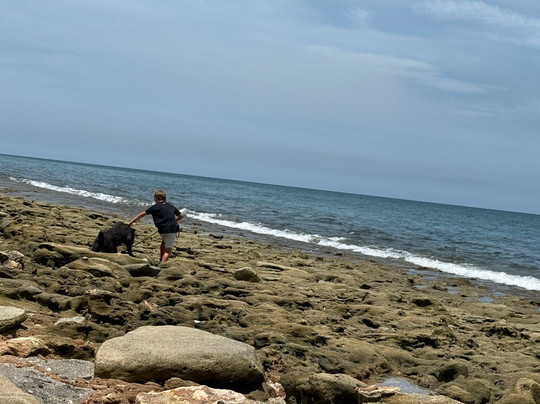 Coral Cove Park-Tequesta必去景点