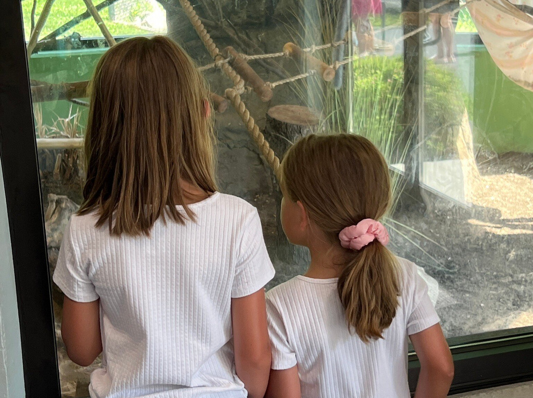 Lehigh Valley Zoo-Schnecksville必去景点