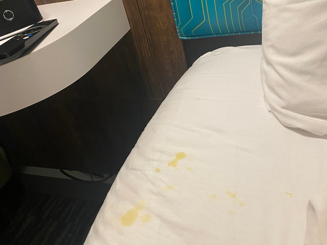 Hampton Inn & Suites Lakeland-South Polk Parkway主图