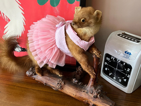 The Flat Earth-切斯特必去景点