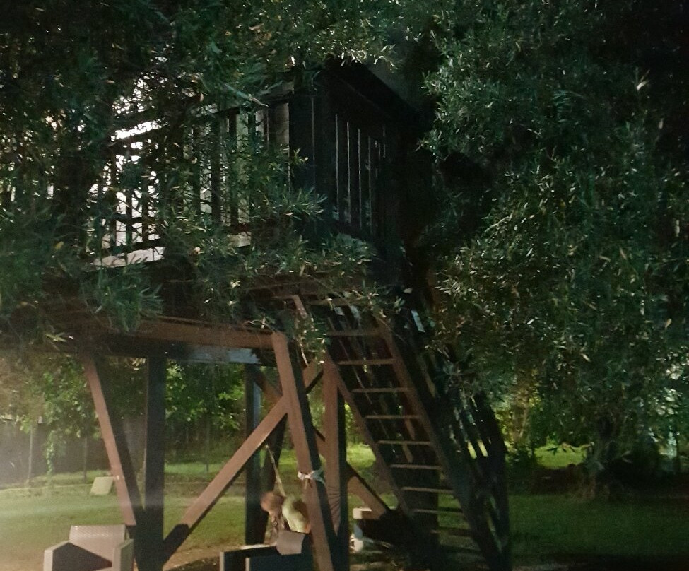 Palazzo Conforti主图