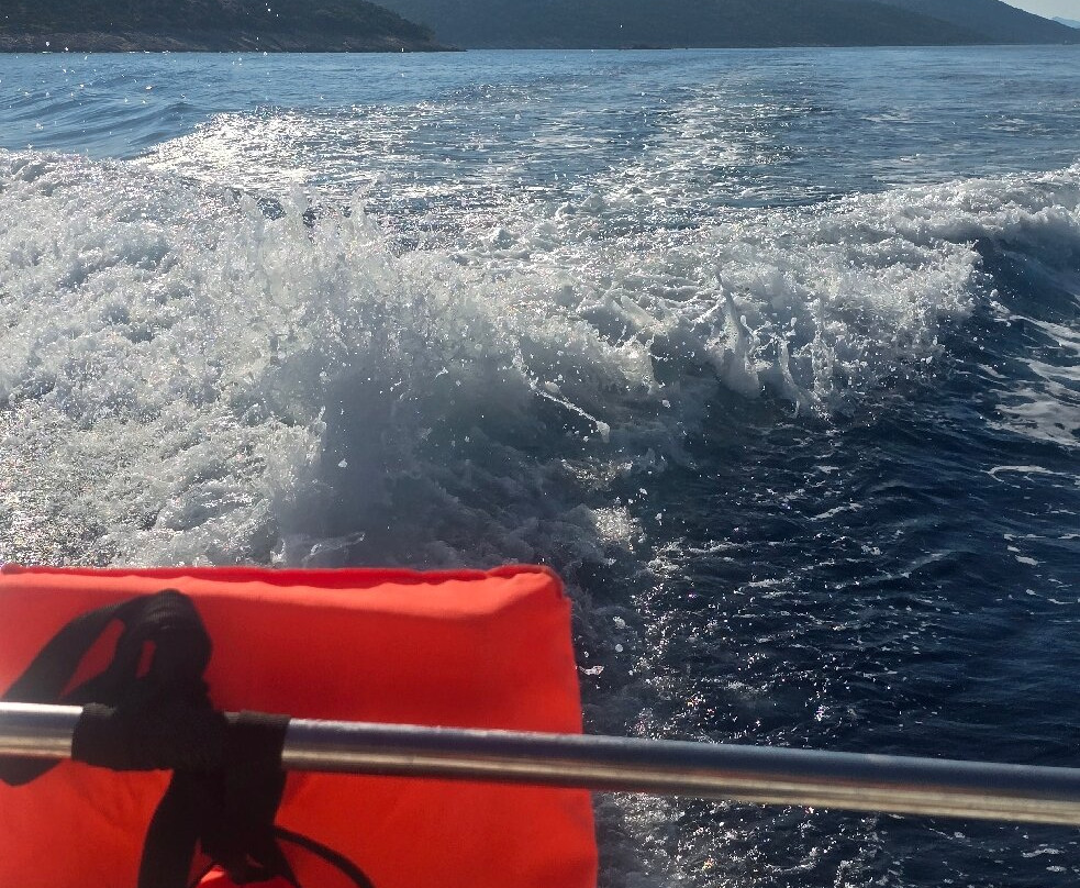 Galeb Boat Tours-Kolocep Island必去景点
