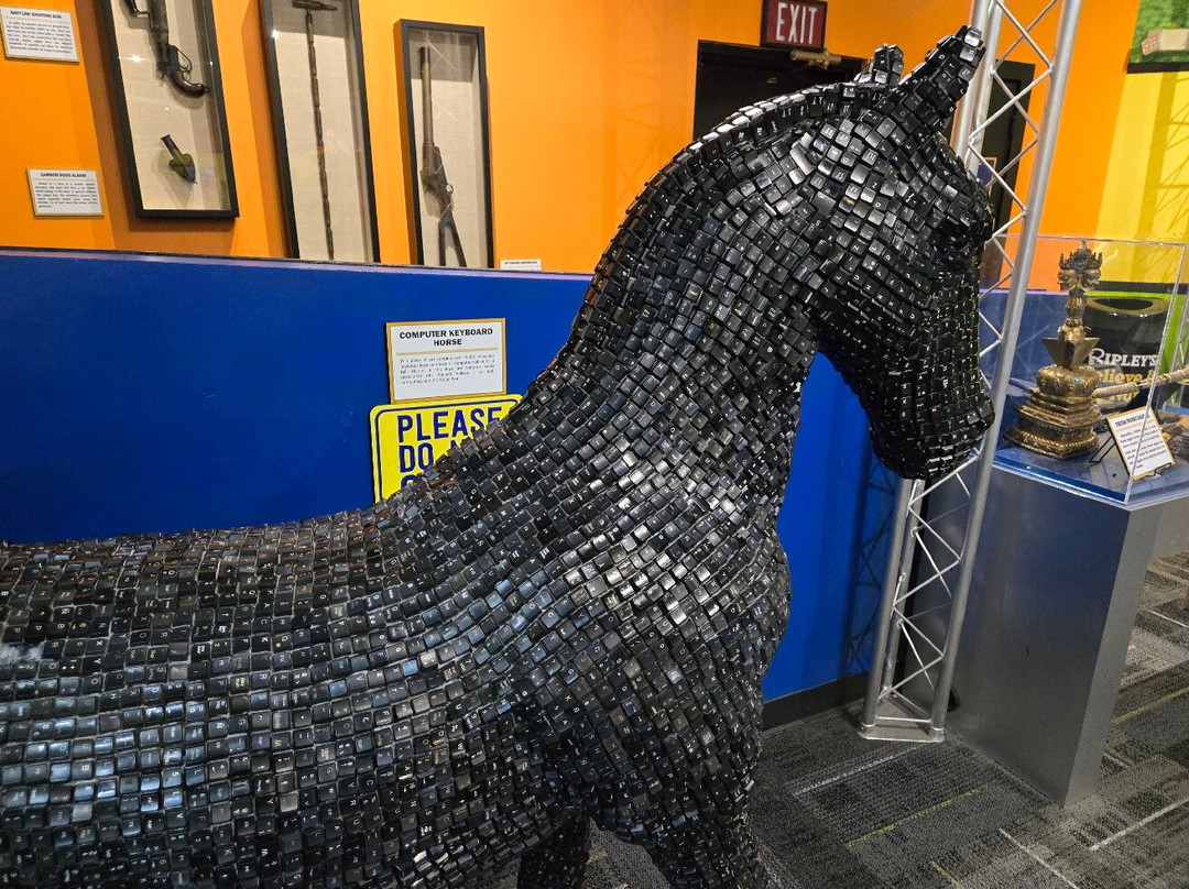 Ripley's Believe It or Not!-美特尔海滩必去景点