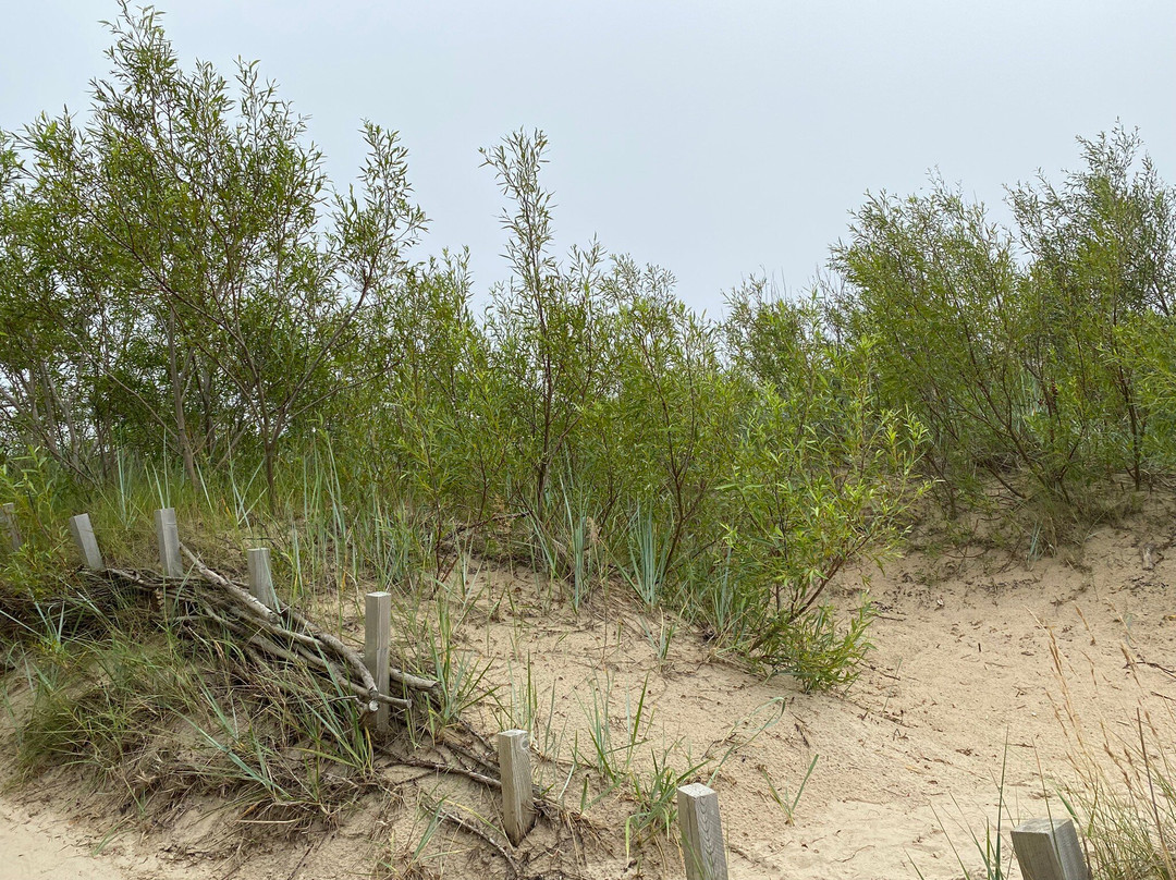Palanga Beach-帕兰加必去景点