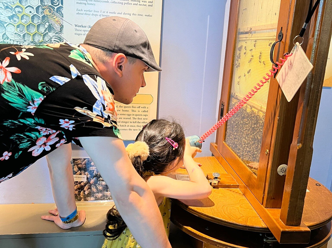 Cape Cod Museum of Natural History-Brewster必去景点