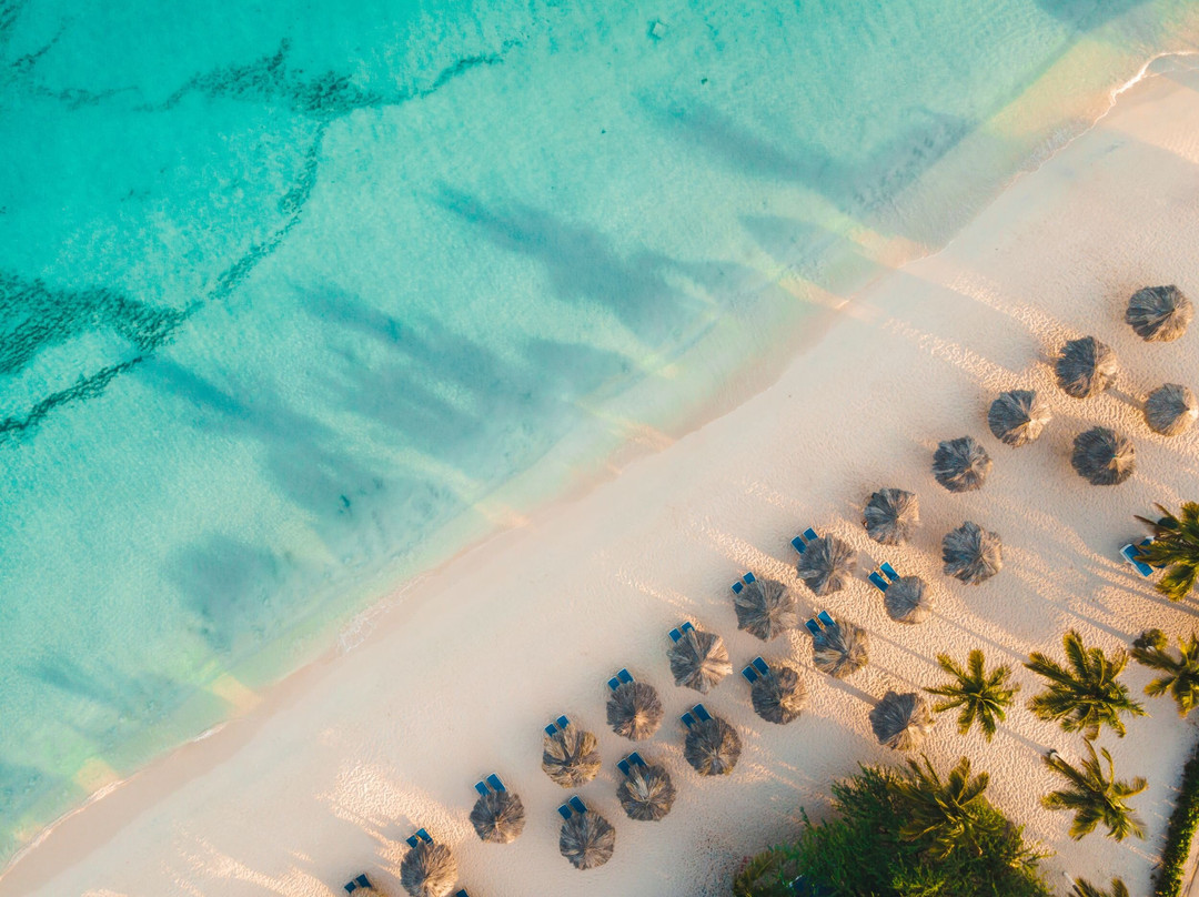 阿姆斯特丹庄园海滩度假村