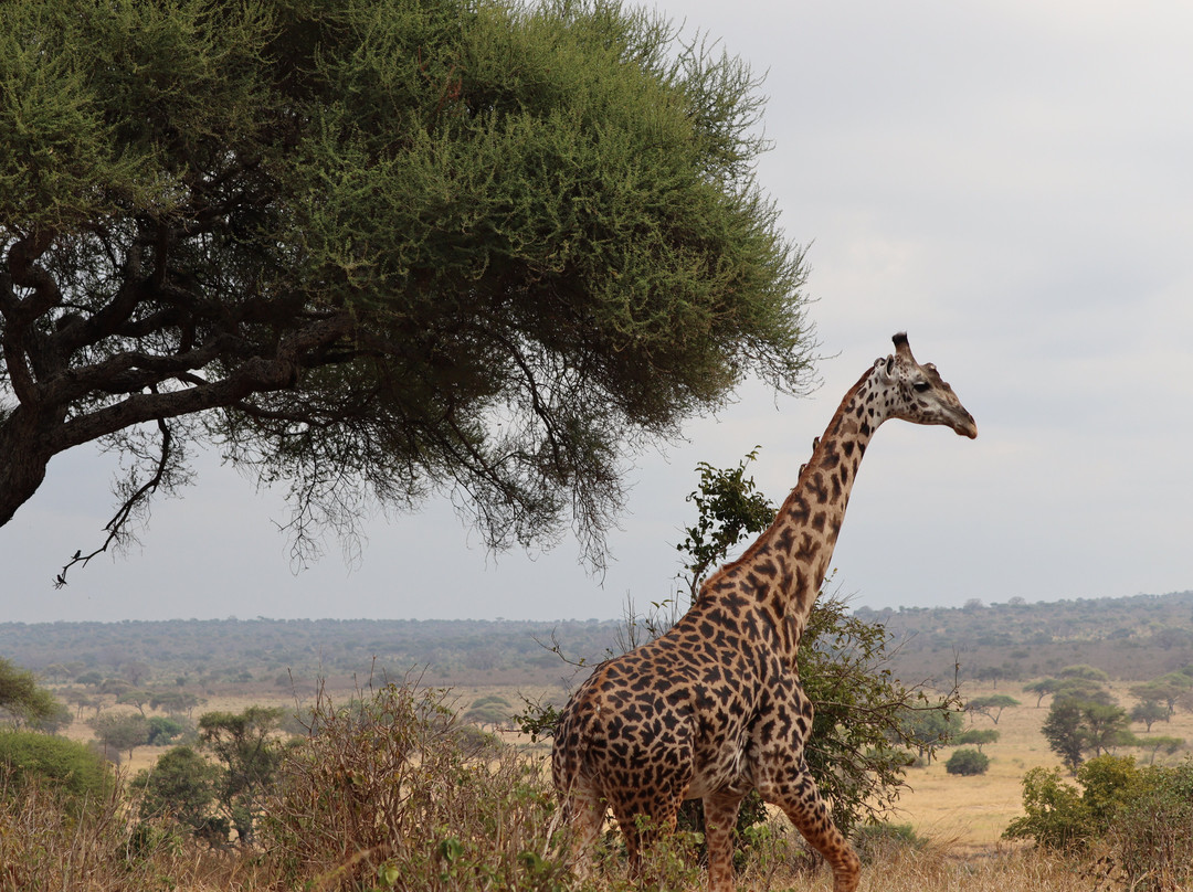 Sense of Africa, Namibia-温德和克必去景点