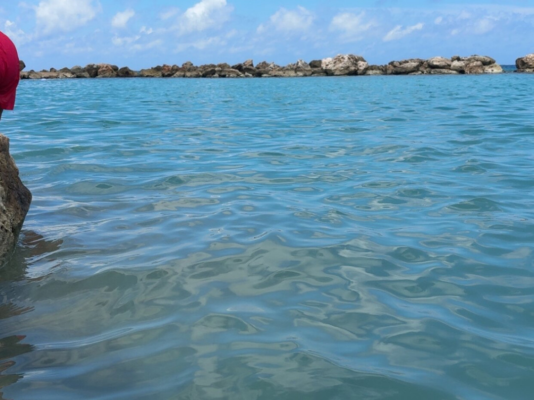 Curaçao Fascinating Tours-威廉斯塔德必去景点