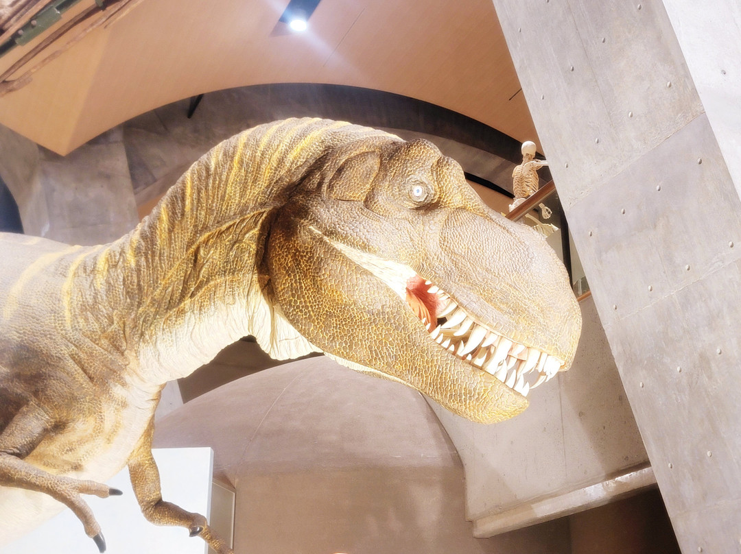 Gunma Natural Museum-富冈市必去景点