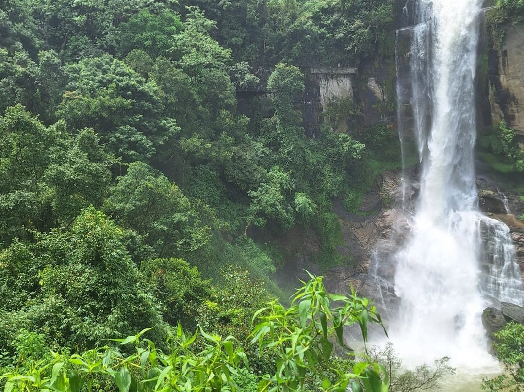 Kandy Safe Tuk Tuk Tours-康提必去景点