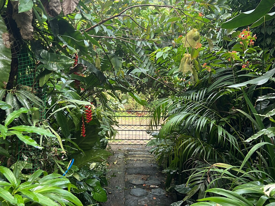 Eagles Rest Homestay Hanthana主图