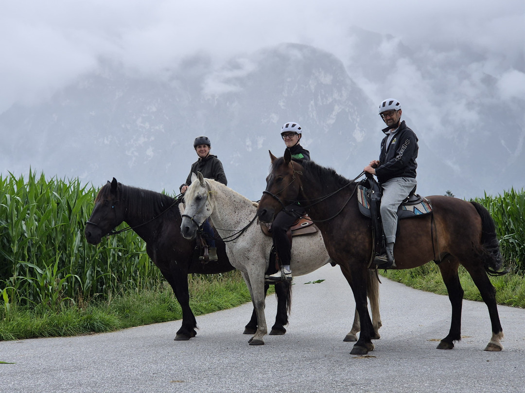 Fearless Horsemanship-Gotzens必去景点