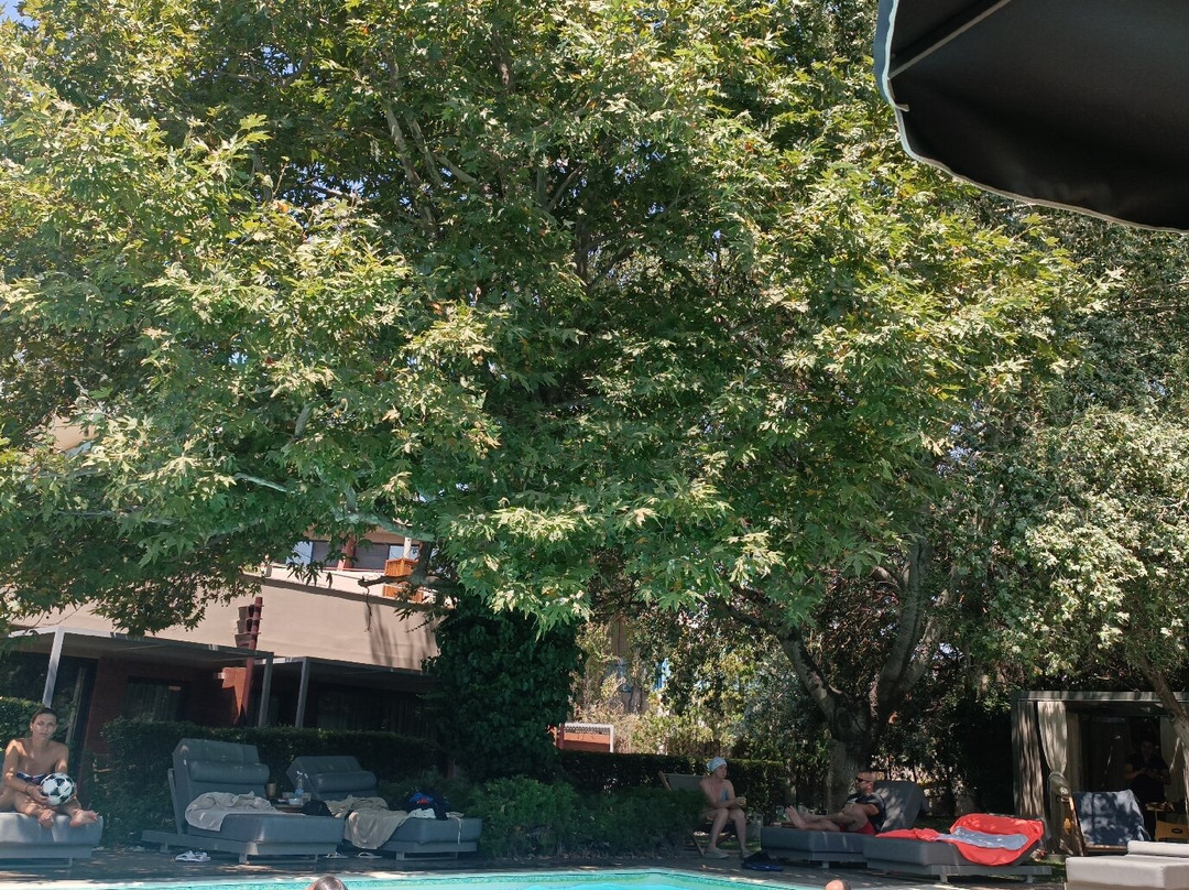 Alexander Beach Hotel & Spa主图