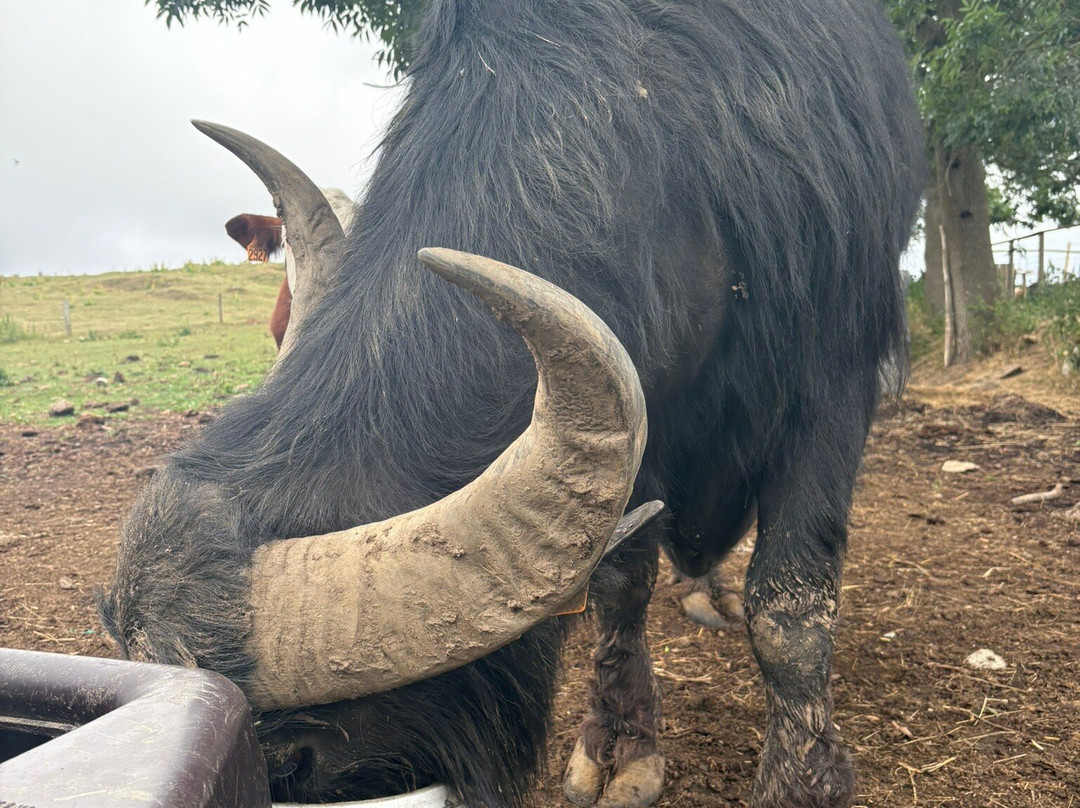 La Ferme du Rialet-La Llagonne必去景点