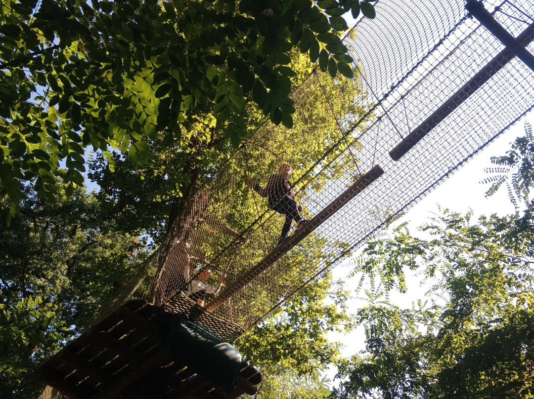 Loisirs Loire Valley-Chouzy-sur-Cisse必去景点