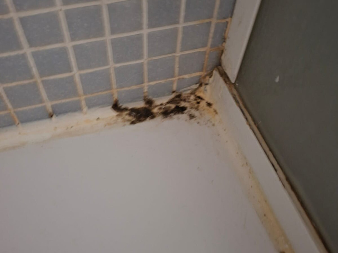 Appart'City Confort Lyon Cité Internationale主图