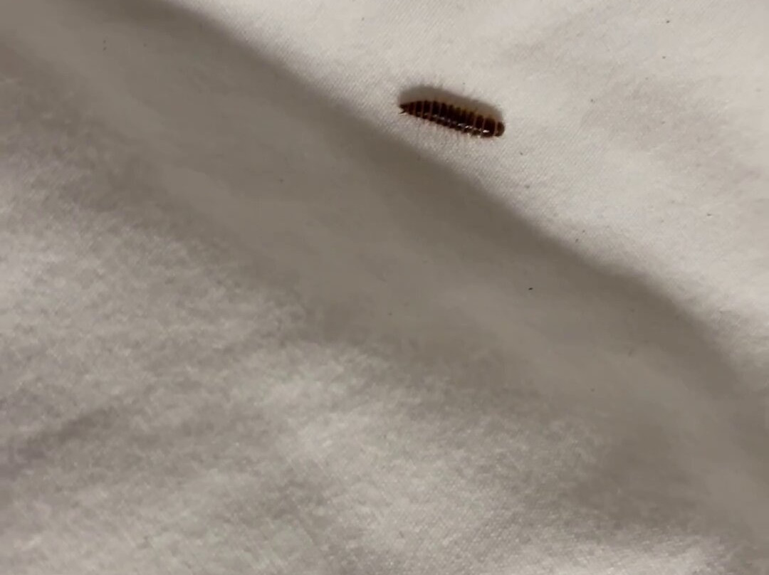 Hampton Inn Rutland主图