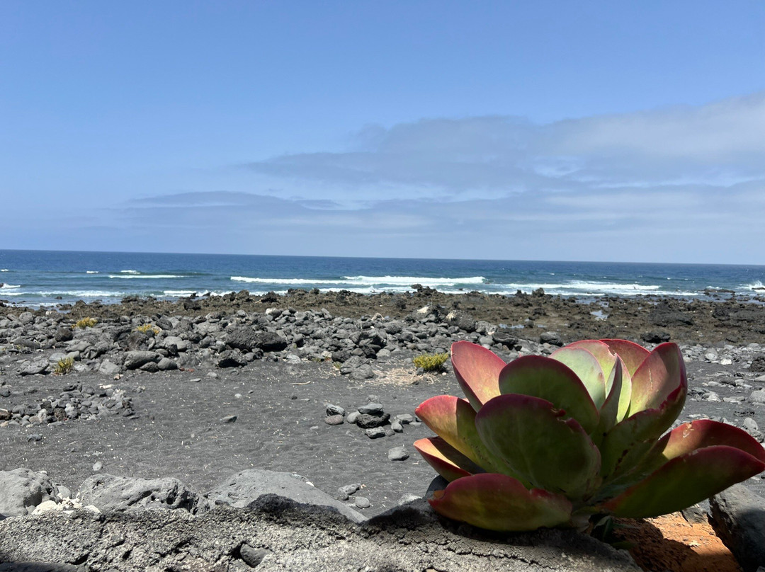 埃尔戈尔福餐馆和美食-Restaurante Lago Verde