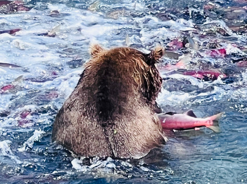 Beryl Air-荷马必去景点