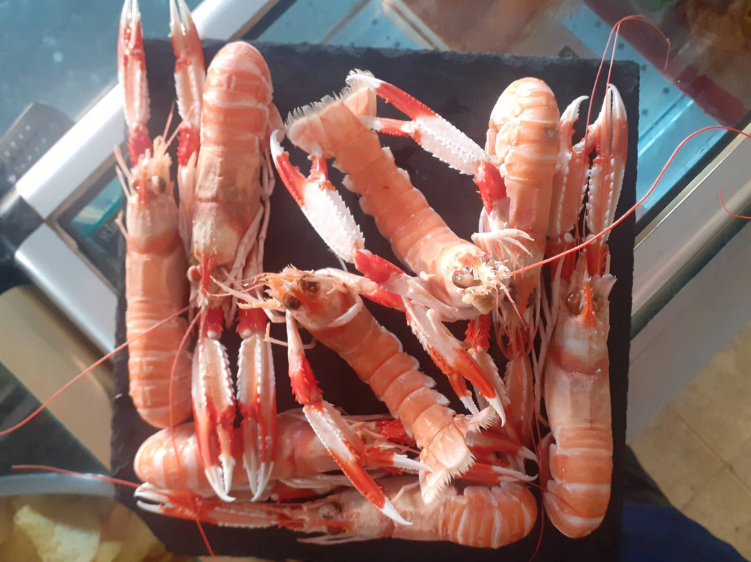 El Rincón Del Barril