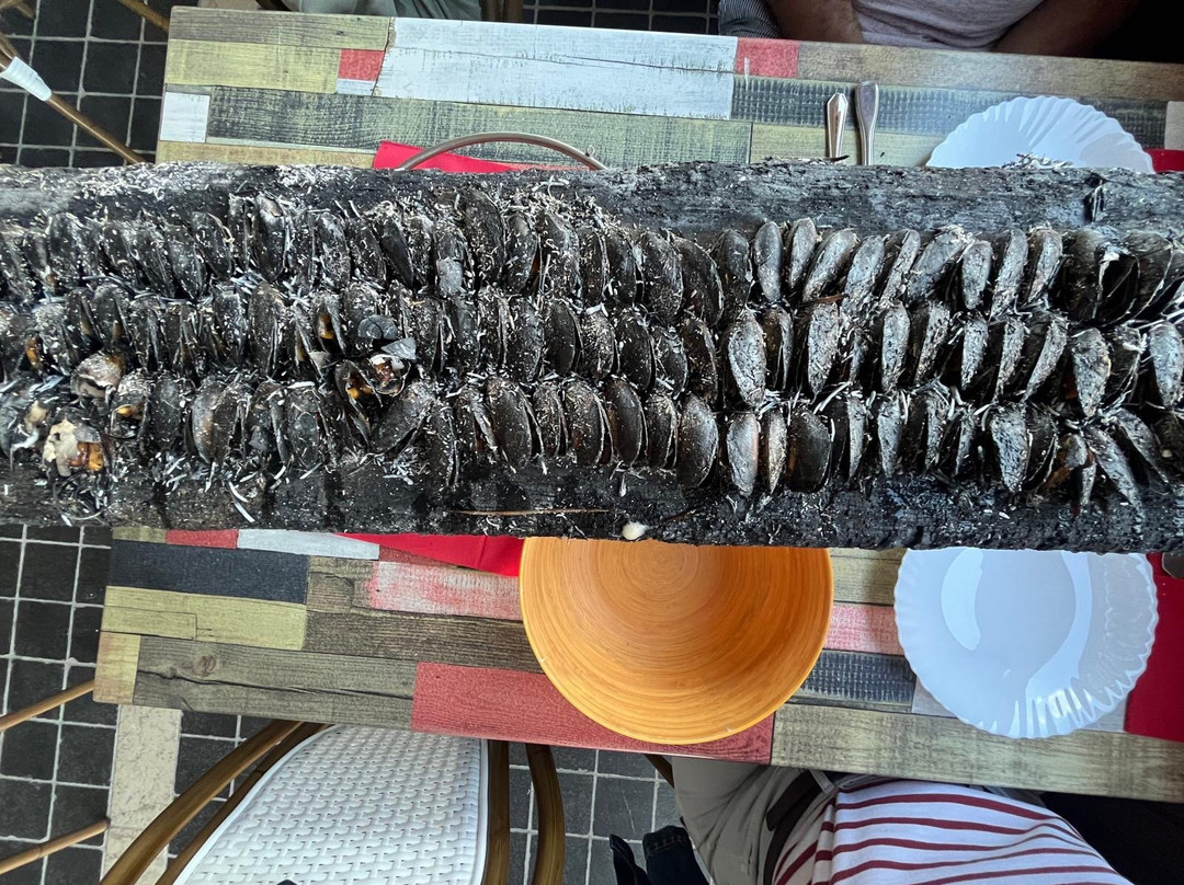 Les viviers de Saurine