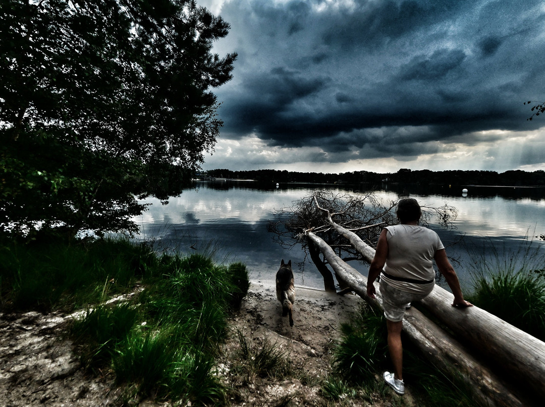 Zilvermeer-Mol必去景点