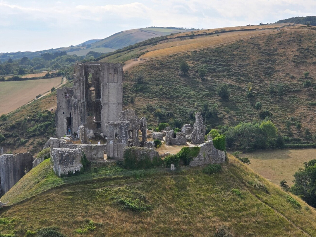 Purbeck Safari-韦勒姆必去景点