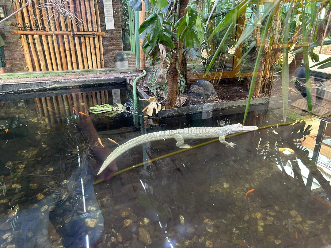 Terrazoo Rheinberg-Rheinberg必去景点