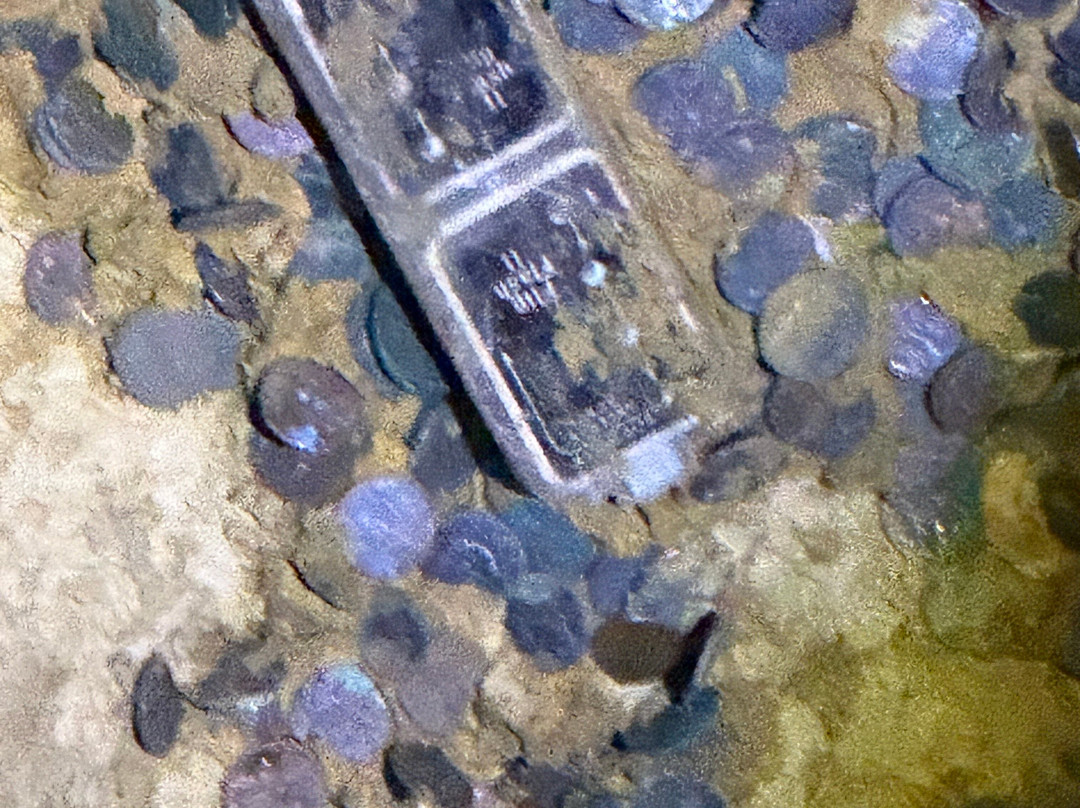 Marengo Cave-Marengo必去景点