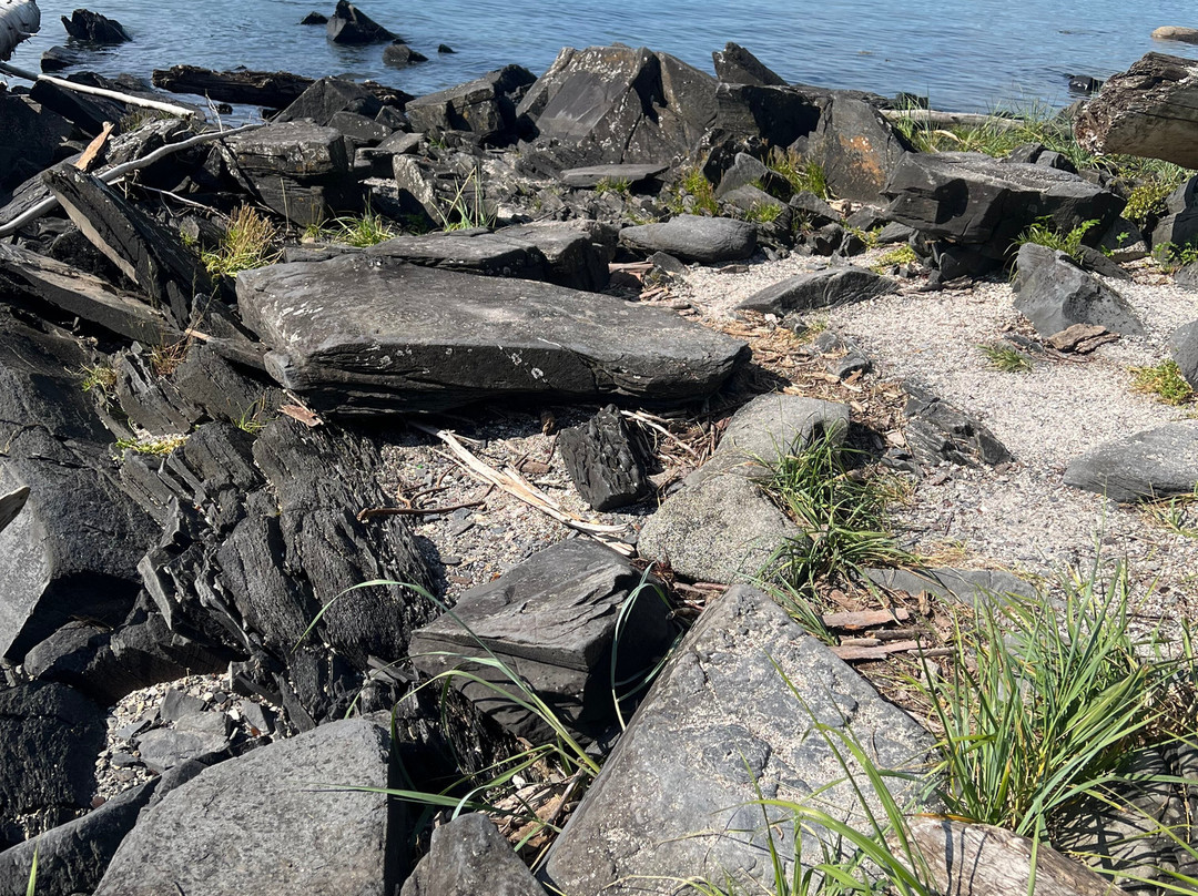 Petroglyph Beach State Historic Site-Wrangell必去景点