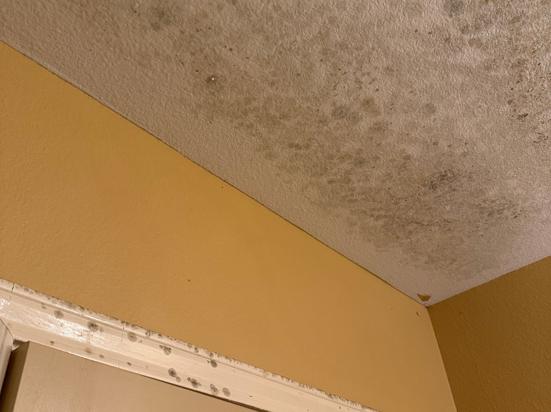 Southern Inn And Suites主图