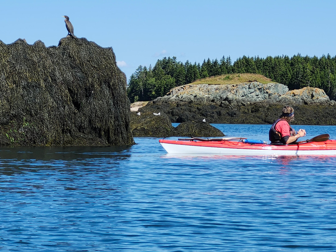 Seascape Kayak Tours Inc.-Deer Island必去景点