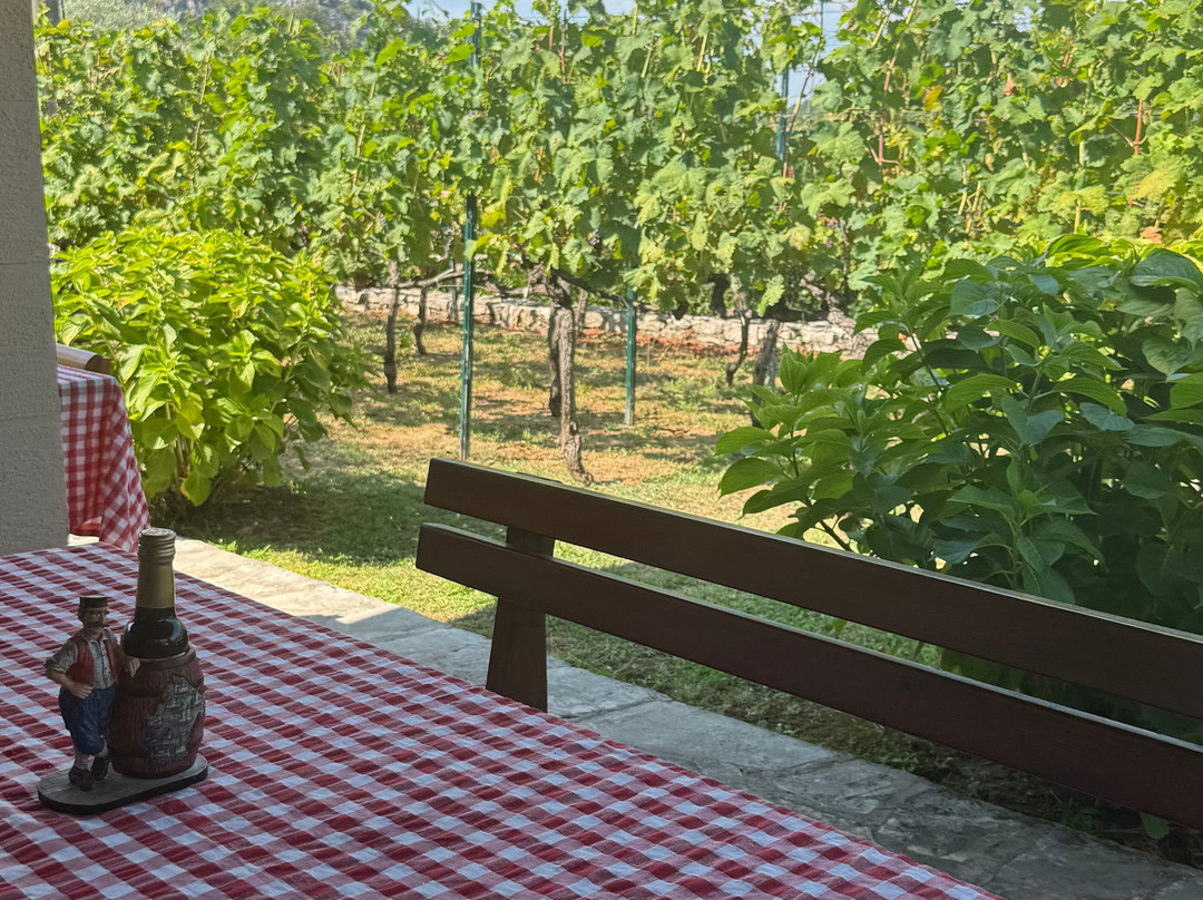 Winery TRADICIJA-Godinje必去景点