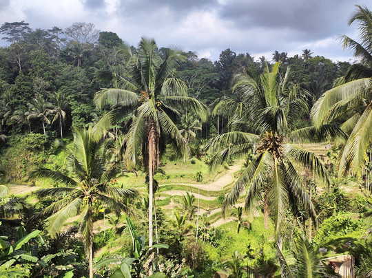 Kuta Transport-登巴萨必去景点