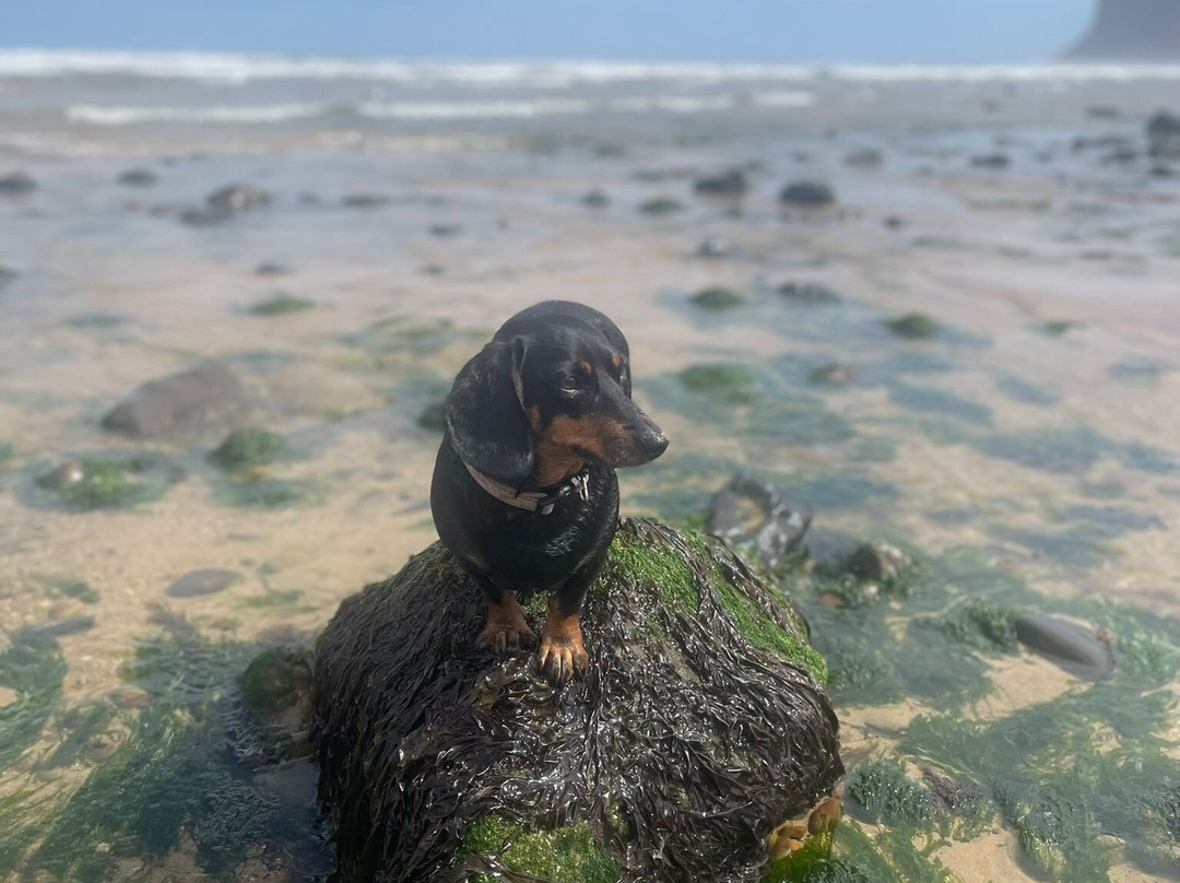 Saltburn Beach-Saltburn-by-the-Sea必去景点