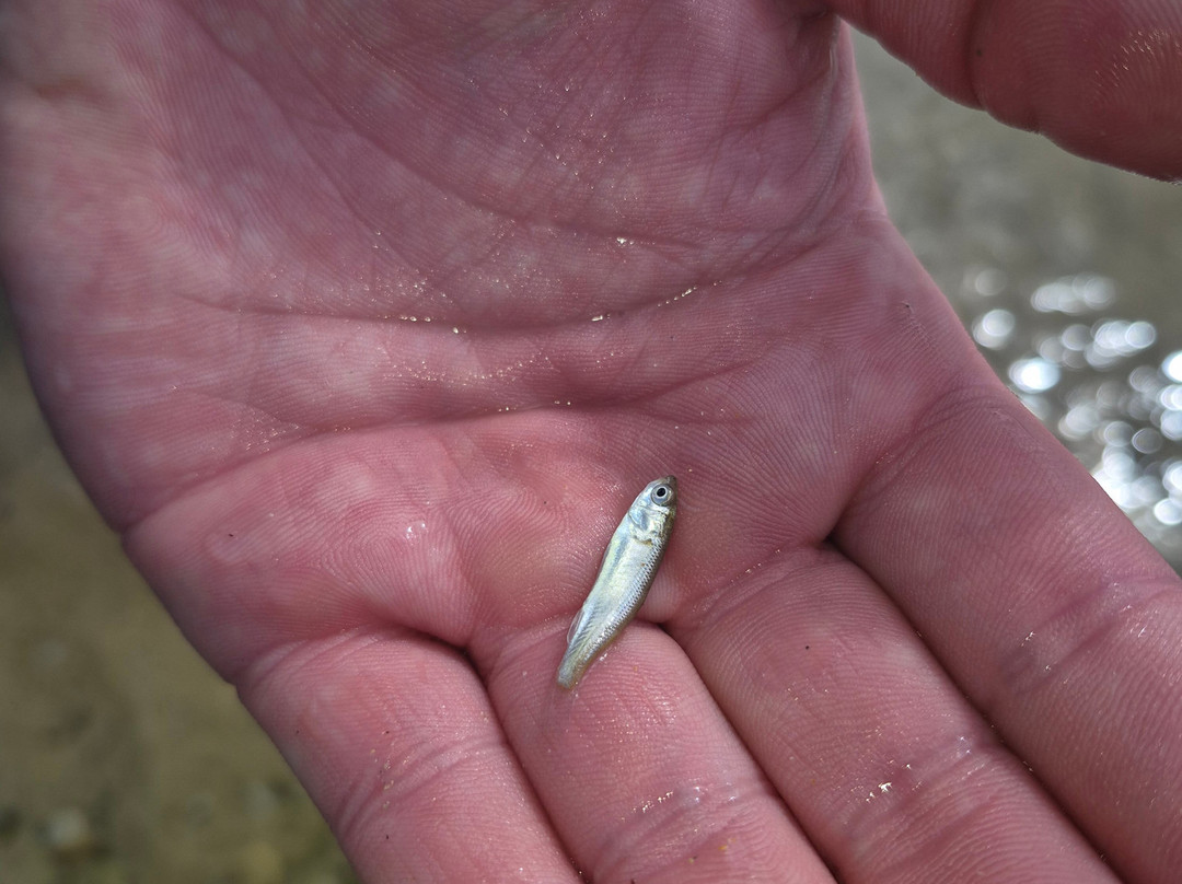 Porth Beach-纽奎必去景点