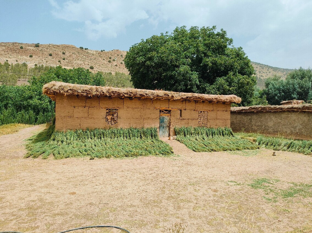 Maison D'hotes Dar Afra主图