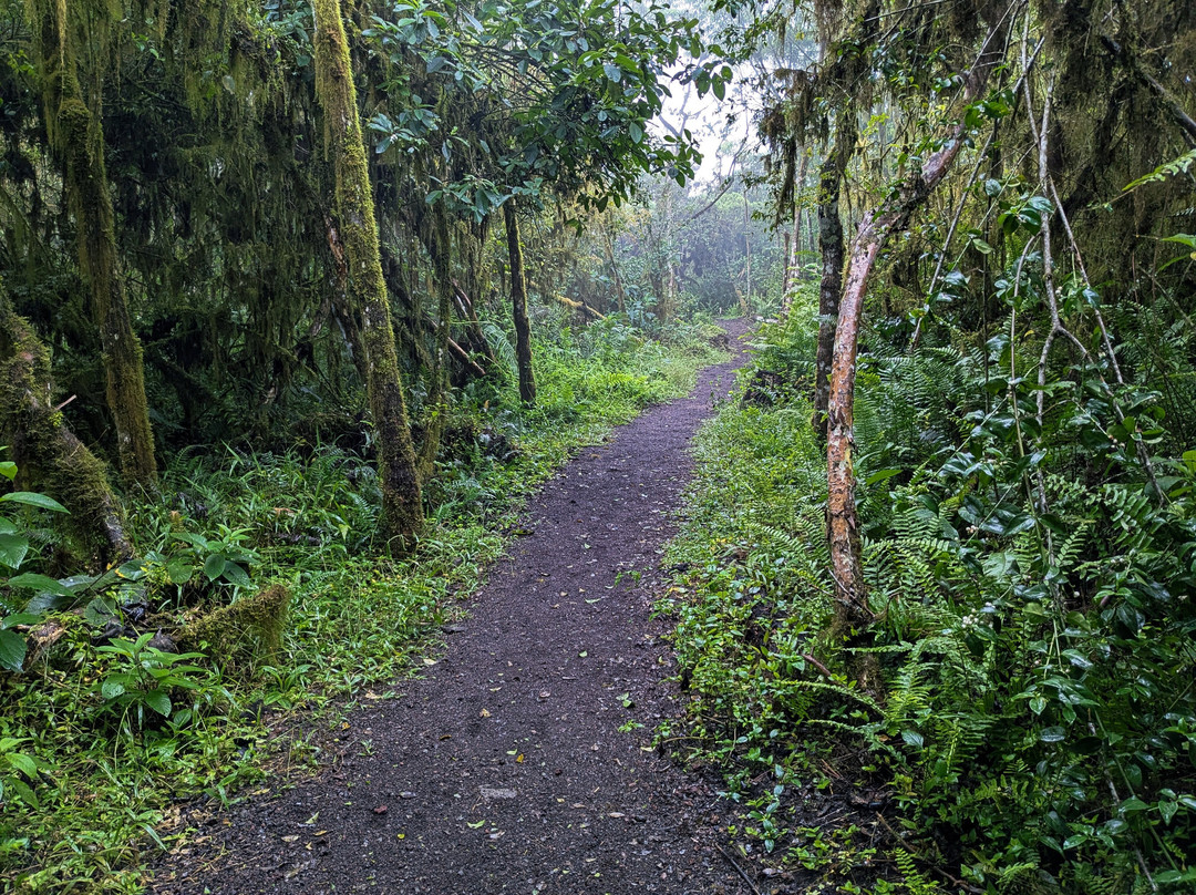 Los Gemelos-圣克鲁斯必去景点