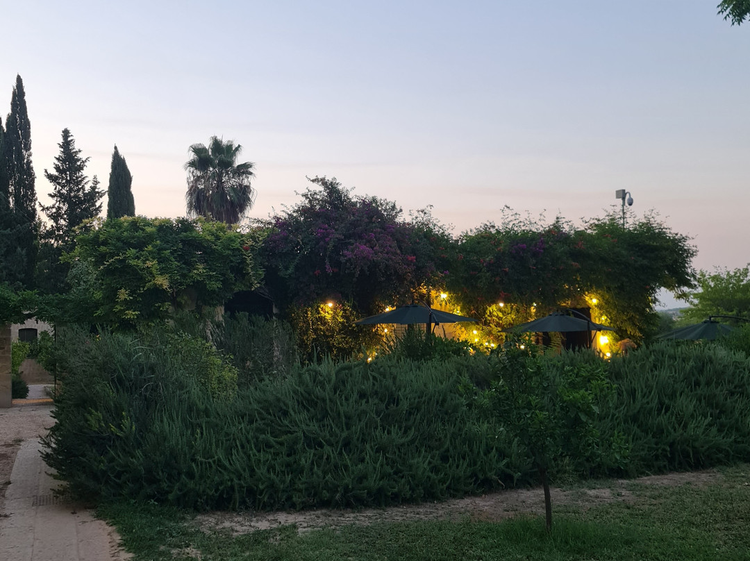 Cefalicchio Bed & Breakfast主图